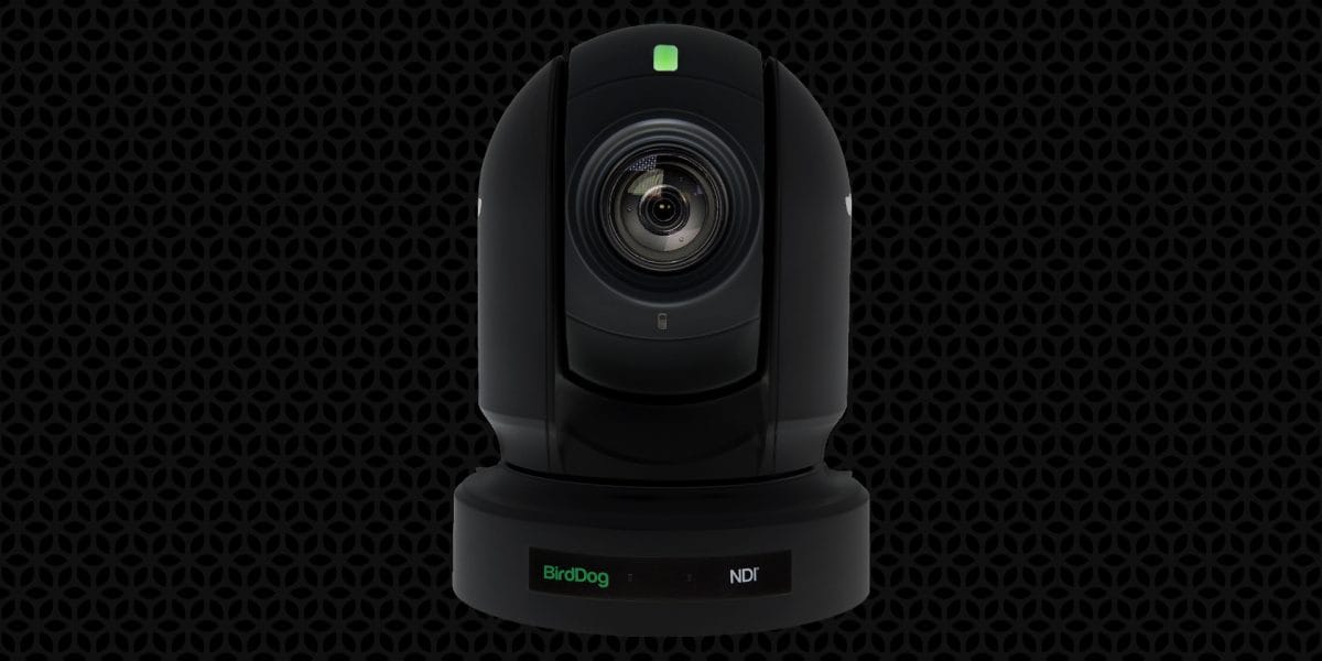 Bird Dog P200 PTZ Camera product photo
