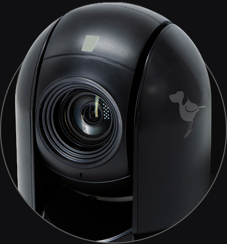 Bird Dog P200 PTZ Camera product photo